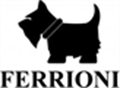 Logo Ferrioni